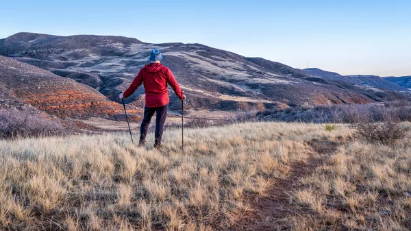 Escursionista Maschio Maturo Con Bastoni Trekking Red Mountain Open Space — Foto Stock