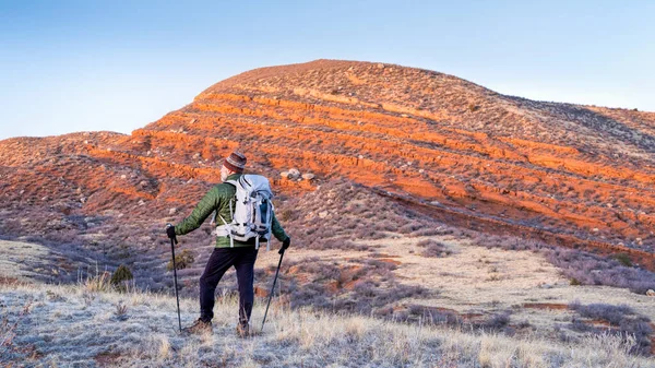 Randonneur Mâle Mature Avec Sac Dos Des Bâtons Trekking Aux — Photo