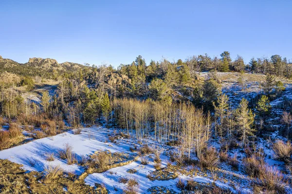 Aspen Boschetto Nel Paesaggio Invernale Vista Aerea Vedauwoo Recreational Area — Foto Stock