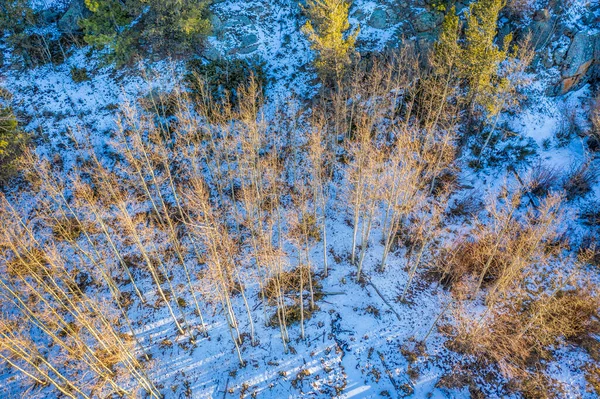 Aspen Grove Winter Scenery Aerial View Vedauwoo Recreational Area Wyoming — Stock Photo, Image