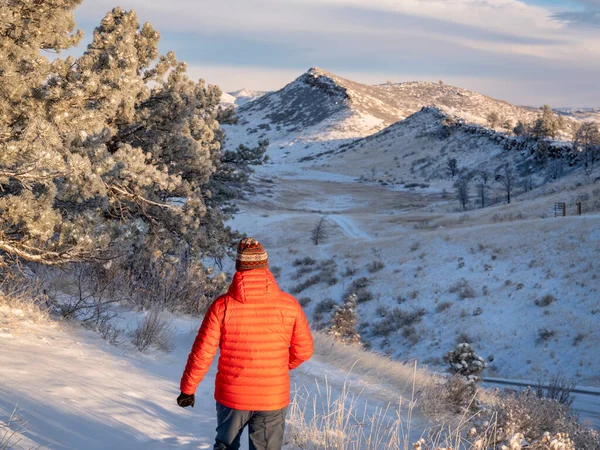 Matin Randonnée Hivernale Aux Contreforts Colorado Des Montagnes Rocheuses Long — Photo