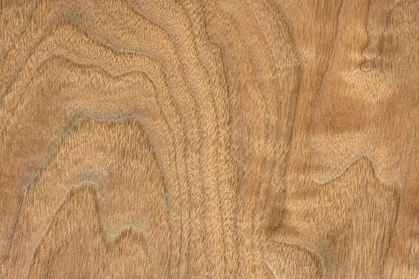 Background Texture Wood Veneer Walnut Tree — Stock Photo, Image