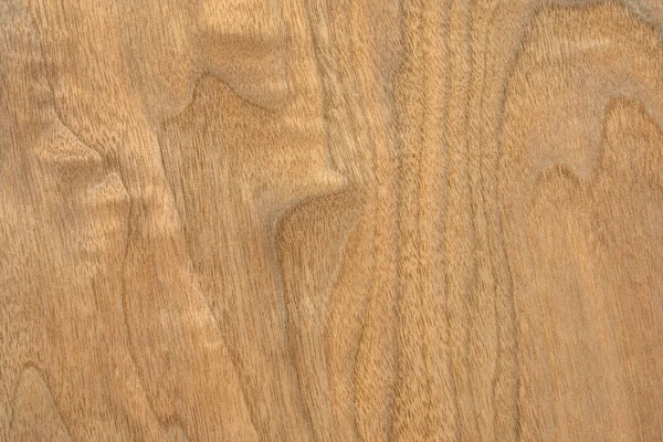 Background Texture Wood Veneer Walnut Tree — Stock Photo, Image