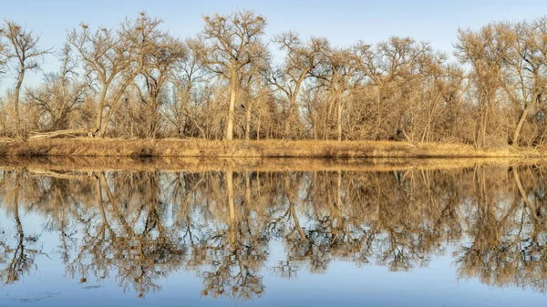 Kolorado Fort Collins 'teki Poudre Nehri' nin doğal alanlarından biri olan, kışın mavi balıkçıllı sakin göl manzarası