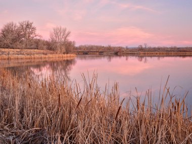 Fort Collins, Colorado 'daki Poudre Nehri boyunca uzanan sakin bir gölün üzerinde sabahın erken saatlerinde.