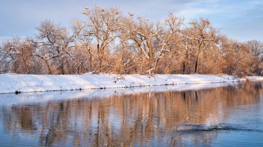 Kuzey Colorado 'da küçük bir gölün kış manzarası. Fort Collins' teki Poudre Nehri 'nin doğal alanlarından biri olan balıkçıl derisi ve su sıçraması.