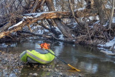 Fort Collins, Colorado 'daki Poudre Nehri, Fort Collins, Colorado' da nehir kenarı reçelinde şişirilebilir beyaz su kayağı.