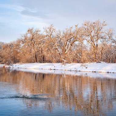 Kuzey Colorado 'da küçük bir gölün kış manzarası. Fort Collins' teki Poudre Nehri 'nin doğal alanlarından biri olan balıkçıl derisi ve su sıçraması.