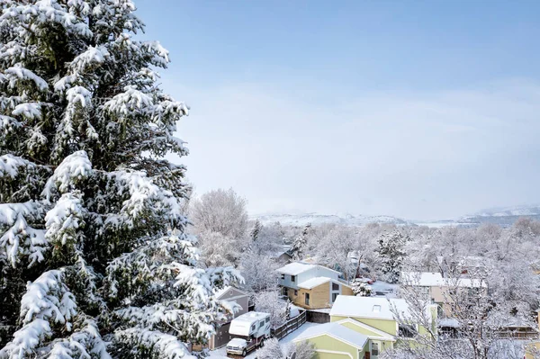 春の吹雪の後 コロラド州北部のフォートコリンズの住宅街で冬の日の出 — ストック写真