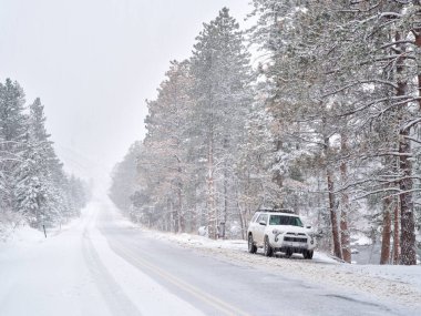 Fort Collins, CO, ABD - 19 Nisan 2021: Toyota 4Runner SUV (2016 Trail modeli) Colorado Rocky Dağları 'ndaki Poudre Nehri Kanyonu' nda şiddetli bir kar fırtınasında.