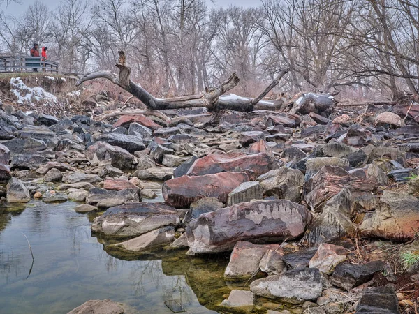 Dry Rocky Bed Poudre River Fort Collins Early Spring Falling — Stock Photo, Image