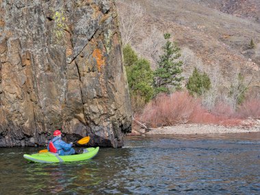 Kıdemli erkek kanocu, Kuzey Colorado 'daki Poudre Nehri' nin ilk baharında bir dağ nehrinde şişme bir kano sürüyor.