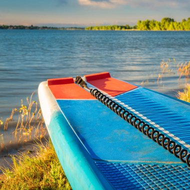 Colorado 'da bir göl kıyısında güvenlik tasmasıyla (Boyd Lake State Park) ayağa kalk, yaz manzarası