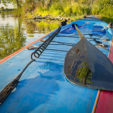 Kalkın ayağa (SUP) bungies, bir kürek ve güvenli bir tasma ile yaz manzarasında sakin bir göl üzerinde