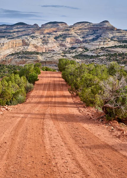 Feldweg Yampa Bench Road Dinosaur National Monument Nordwesten Colorados Blick — Stockfoto