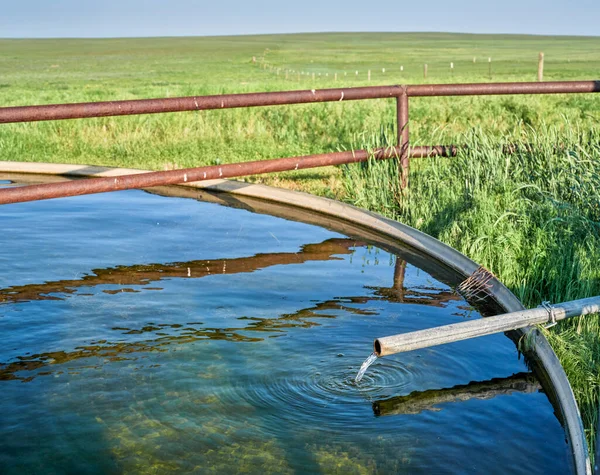 緑の草原で風車ポンプから水が出る牛の水槽 Pawnee National Grasland Northern Colorado — ストック写真