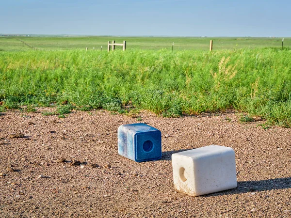 Solné Bloky Stopovými Minerály Pro Skot Modrý Kobaltem Jódem Zelené — Stock fotografie