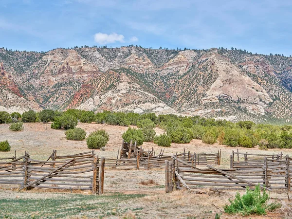 Boskapsfålla Torra Landskap Nordvästra Colorado Med Framstående Cliff Ridge Nära — Stockfoto