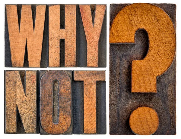 Why Question Letterpress Wood Type Blocks Isolated White Teasing Concept — Stock Photo, Image