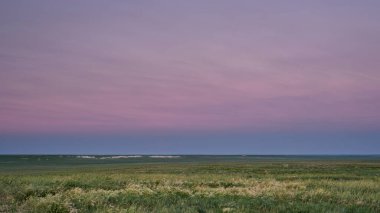 Colorado 'da Pawnee Ulusal Çayırı, yaz başları manzarası