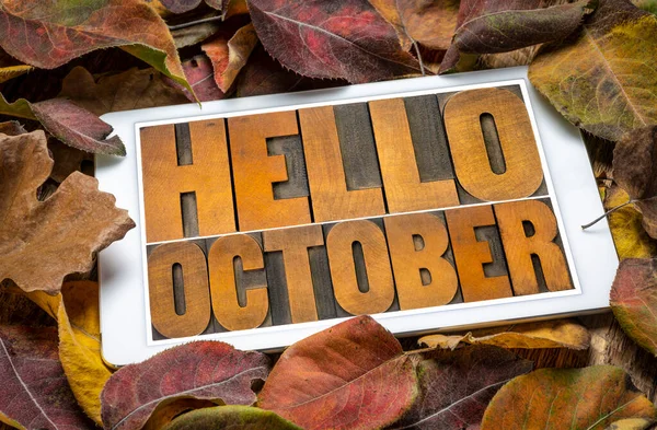 Hello October - word abstract in vintage letterpress wood type blocks on a screen of a digital tablet against dried leaves