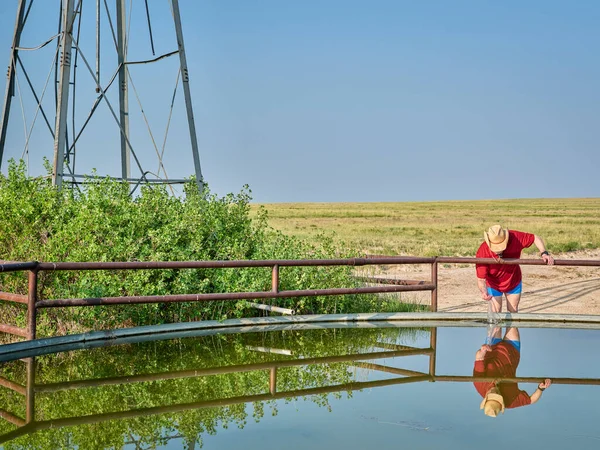 Älterer Bauer Oder Viehzüchter Einem Viehwassertank Mit Wasser Aus Einer — Stockfoto