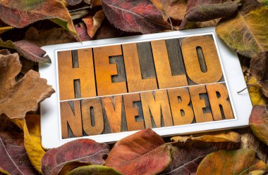 Merhaba November- kelime soyut eski harf harfleri tahta bloklar bir ekranda dijital tablet karşı kurumuş yapraklar