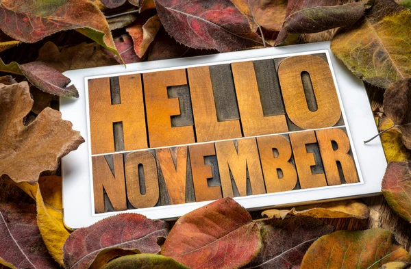 Hello November Mot Abstrait Blocs Bois Typographie Vintage Sur Écran — Photo