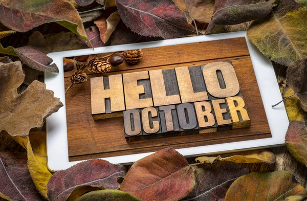 Hallo Oktober Woord Abstract Vintage Letterpers Houten Blokken Een Scherm — Stockfoto