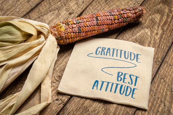 Gratitude Best Attitude Inspirational Handwriting Napkin Ornamental Corn Fall Holiday — Stock Photo, Image