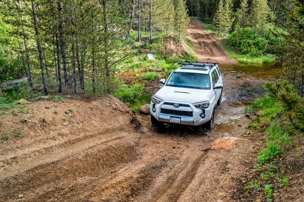 Red Feather Lakes Usa June 2016 Toyota 4Runner Suv 2016 — стокове фото