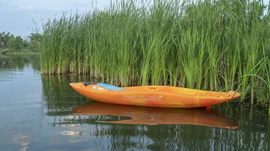 Fort Collins, CO, ABD - 5 Ağustos 2021: Bellyak, meyilli kano, Colorado 'daki göl kıyısındaki sazlıklarda, kayak ve yüzmenin en iyi yönlerini birleştirir..