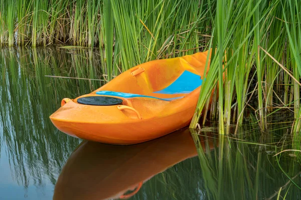 科罗拉多州湖滨芦苇中的斜皮划艇 水娱乐概念 — 图库照片
