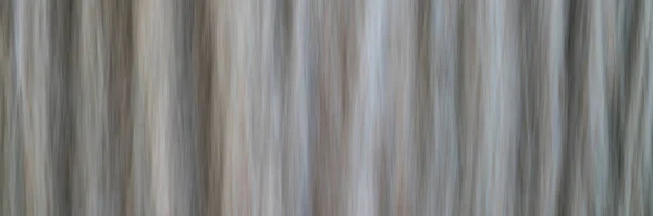 Tree Trunk Nature Motion Blur Abstract Created Intentional Camera Movement — Stock Photo, Image