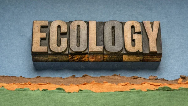 Ecology Word Abstract Vintage Letterpress Wood Type Abstract Paper Landscape — Stock Photo, Image