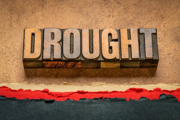 Kuraklık Kelimesi Soyut Çöl Kağıdı Manzarası Çevre Iklim Değişikliği Kavramına — Stok fotoğraf