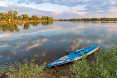 Fort Collins, CO, ABD - 2 Temmuz 2018: Sabah antrenmanından sonra Colorado 'da sakin bir gölün kıyısında sancak tarafında bir kürek ve emniyet tasmasıyla bir yarış duruşu.