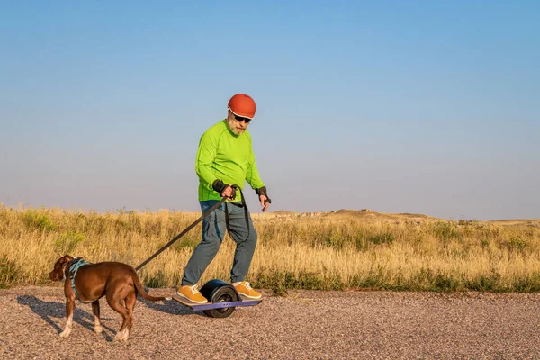 Yetişkin Bir Erkek Çayır Yolunda Pitbull Köpeğiyle Tek Tekerlekli Bir — Stok fotoğraf