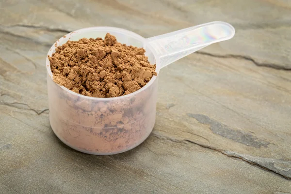 Raw organic cacao powder — Stock Photo, Image