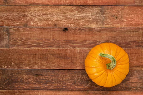 Autumn pumpkin on rustic wood — Stock Photo, Image