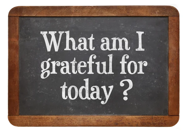 What am I grateful for today? — Stock Photo, Image