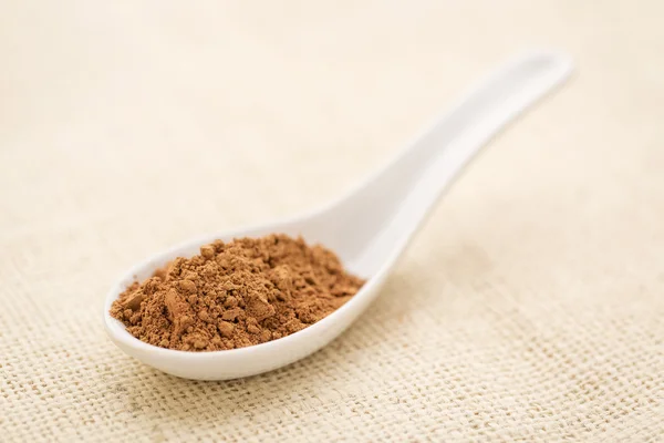 Cacaopoeder — Stockfoto