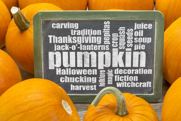 Pumpkin word cloud — Stock Photo, Image