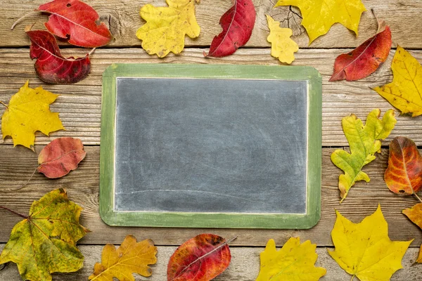 Tom skiffer blackboard med lämnar — Stockfoto