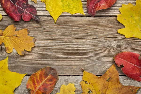 葉で風化した木材の背景 — ストック写真