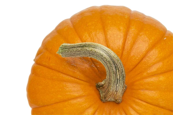 Zucca sfondo astratto — Foto Stock