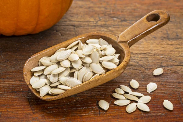 Cucharada de semillas de calabaza — Foto de Stock