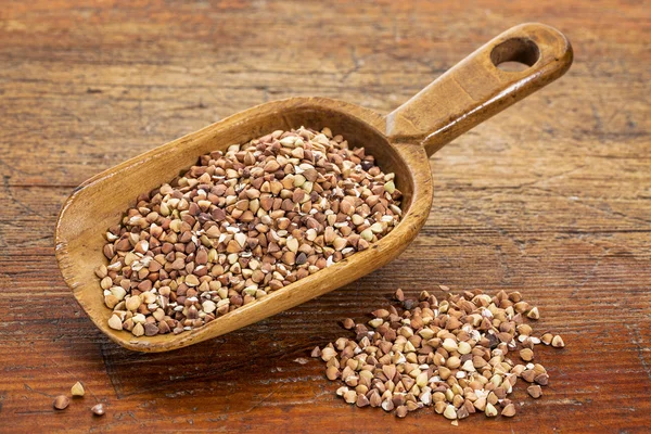 Scoop of buckwheat kasha — Stock Photo, Image