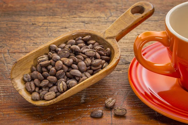 Skopa av kaffebönor — Stockfoto
