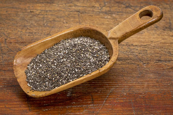 Scoop of chia seeds — Stock Photo, Image